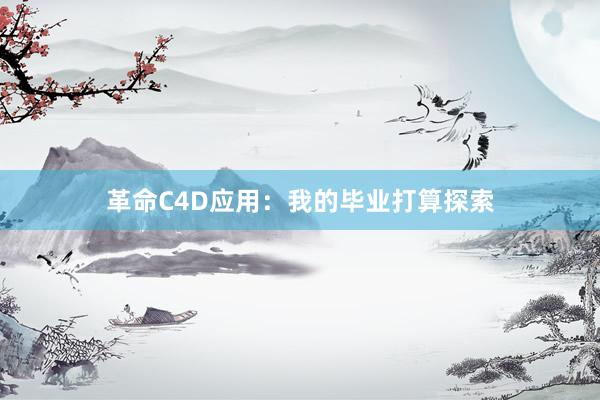 革命C4D应用：我的毕业打算探索